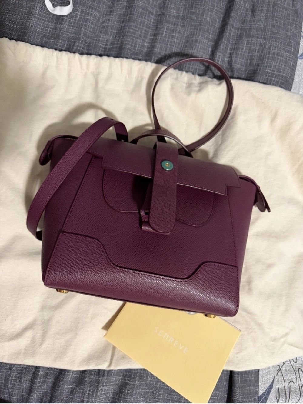 Senreve MINI MAESTRA convertible Bag retail for $740